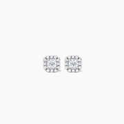 Pave of brilliance silver earrings