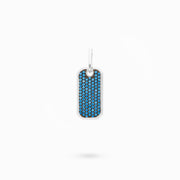 Silver and blue ice tag 